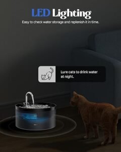 luz nocturna fuente giotohum