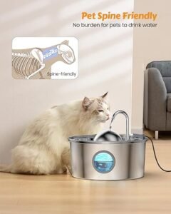 situacion beber fuente aomboy