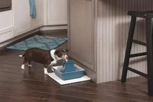 fuente petsafe slash fotos 2